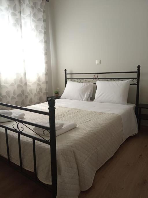 Appartement House With Yard In Center Of